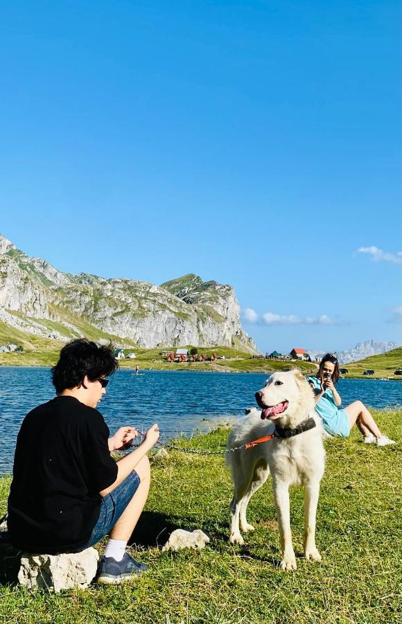 مبيت وإفطار بودغوريتْسا Kapetanovo Jezero Bungalov المظهر الخارجي الصورة